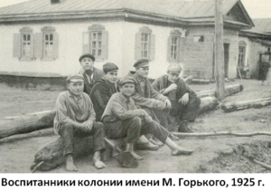 как была организована колония имени горького под руководством макаренко